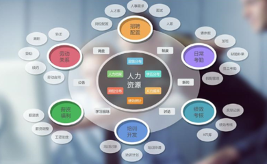企業(yè)管理軟件與咨詢 雙輪驅(qū)動(dòng)，賦能企業(yè)數(shù)字化轉(zhuǎn)型