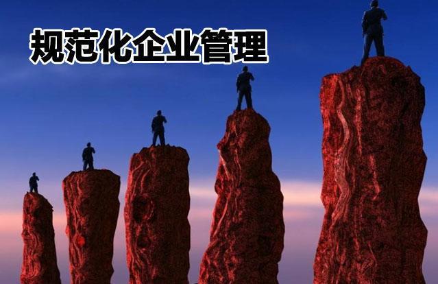 規范化企業管理體系三大支柱與九要素