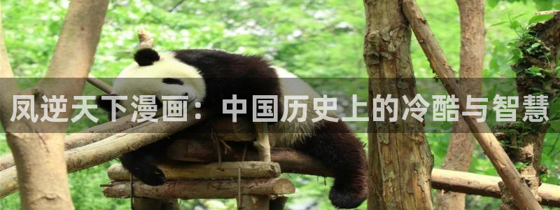 羞羞韓國漫畫網站